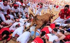 A bull tramples runners as it enters the bull ring on the second running of the bulls in Pamplona
