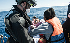 A baby is rescued as the ship Spica Italian Navy, with a crew of only 60 men, rescued over 1,000 migrants in international waters 30 miles off Libya