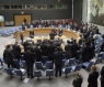 UN Security Council - AP - January 13, 2010